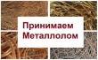 Закупаем лом черных и цветных металлов. Дорого!!! Самовывоз!!!
