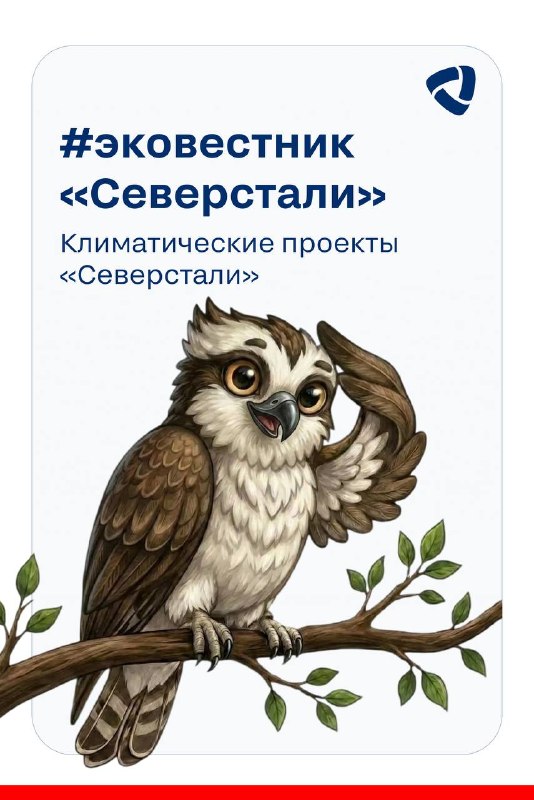 В двенадцатом выпуске рассказываем о климатических проектах «Северстали»!