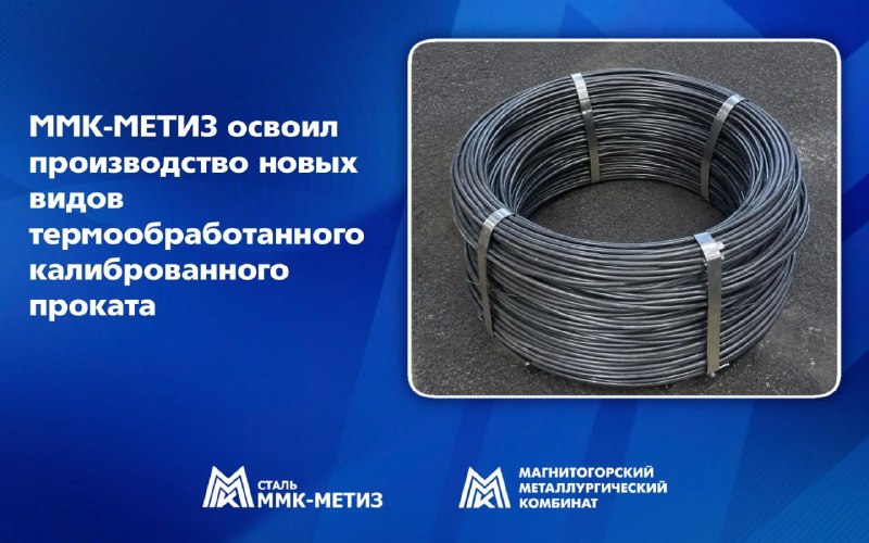 Новинки в каталоге