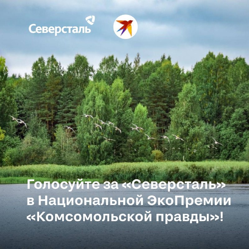 Что объединяет утку-гоголя, тротуарную плитку из переработанных материалов и чистый воздух в Череповце?
