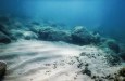 В Бразилии изучают проект первой морской добычи калийных солей