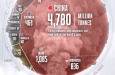   4,62%    ,      6    