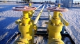 ������� ����� ���������� ��� � ��� � ��� ��� ��� ������ �� ������� ���������