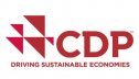 «Северсталь» улучшила свои позиции в рейтинге CDP Climate Change