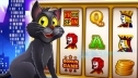 Основные разновидности игровых автоматов Вулкан и других игр Вулкан
