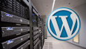Как подобрать хостинг с системой управления WordPress