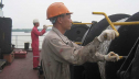 Service4Seafarer: документы для моряков