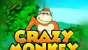 Самый веселый электронный слот Crazy Monkey