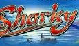 Sharkyslot - популярные игровые автоматы с возможностью бесплатной игры