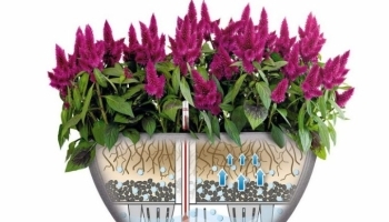 LECHUZA CUBETO Stone Кашпо для офиса - Lechuza.Moscow