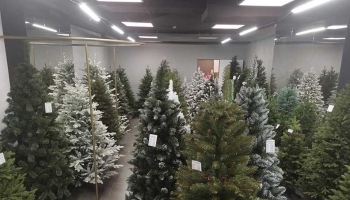 ������������� ���� ��� ���� � �����