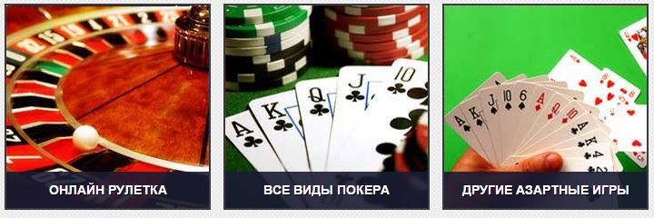 Казинопус